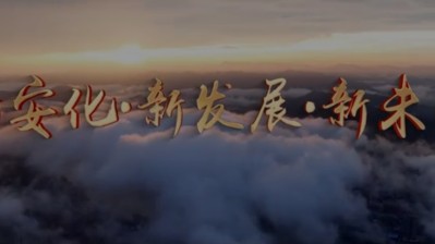 ��Ƶ����