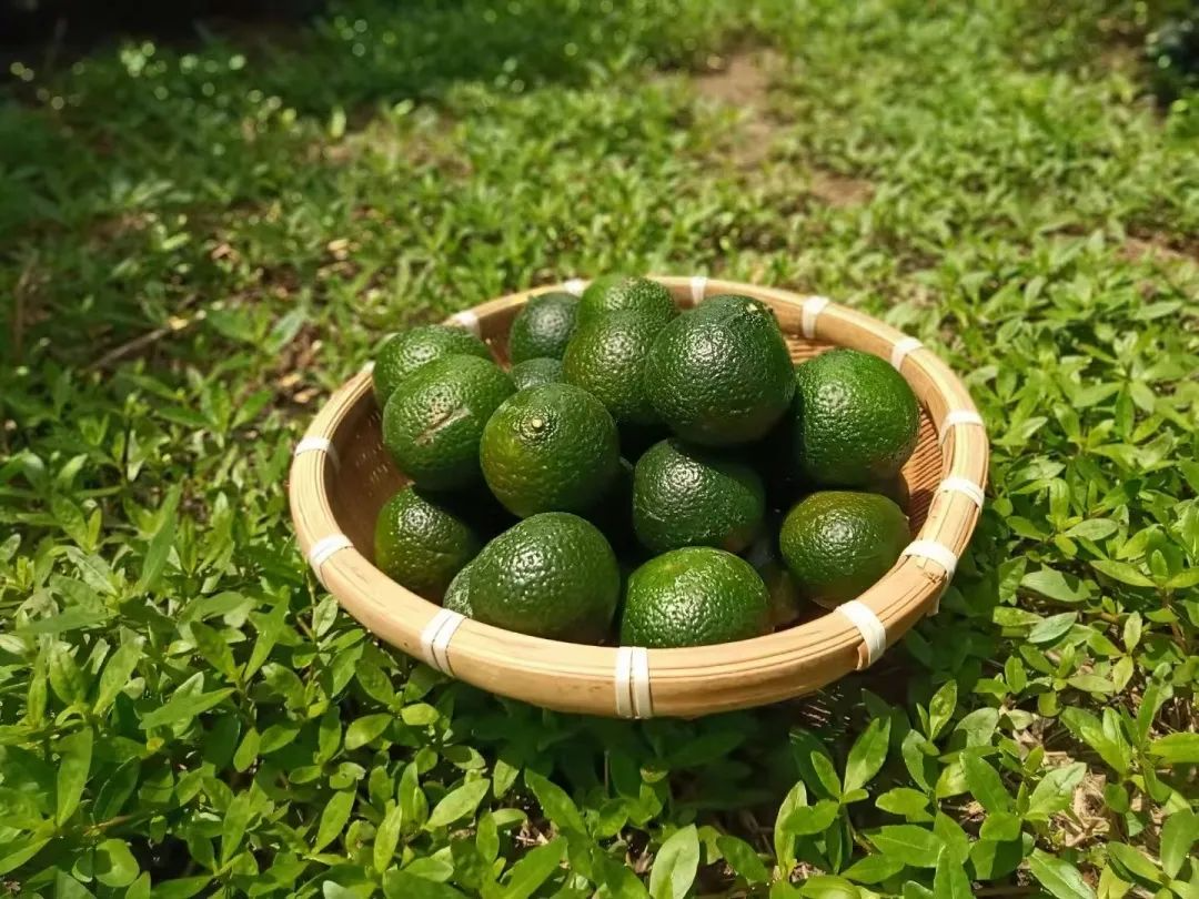 微信图片_20230829105126.jpg 图片