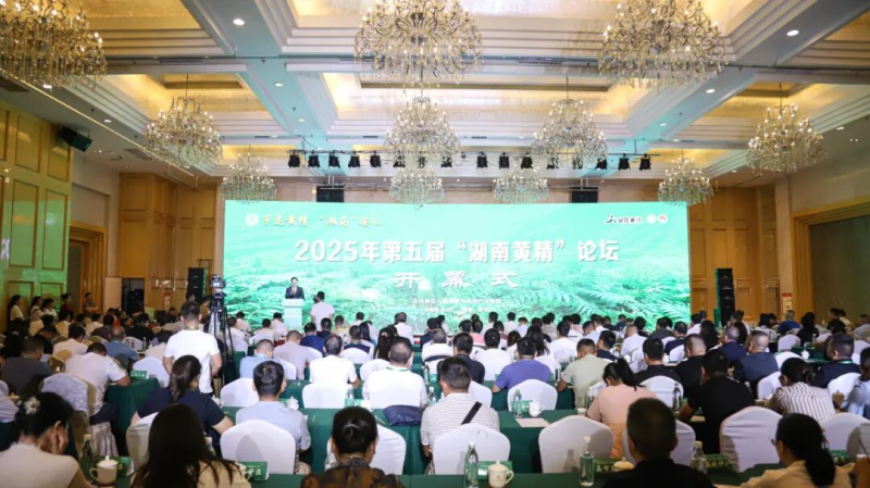 ������ʮ���塱��ҽҩ��ҵ����������ƾ� ������ �¸�ɡ ��ҽҩ��ҵ�����򾭼�������