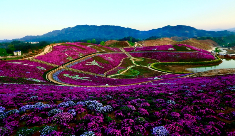 �������绨������