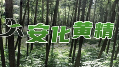 �����ƾ�